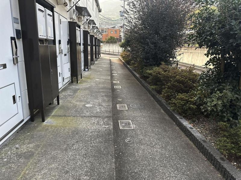 leopalace Pure 기타