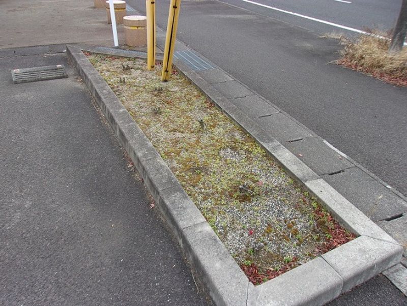 レオパレス福島北Ⅱ 庭