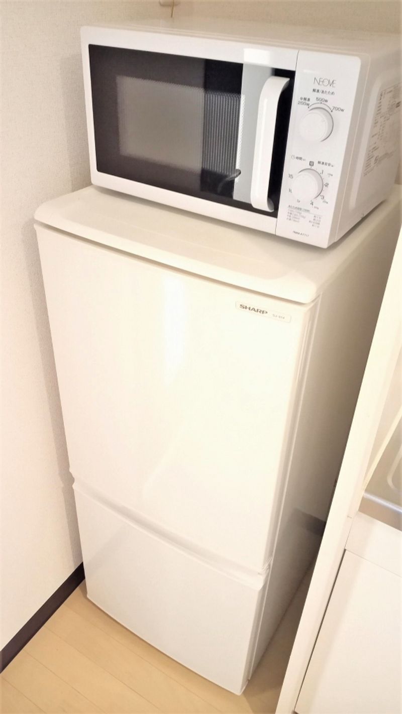 レオネクストルナルミエール越谷 その他
