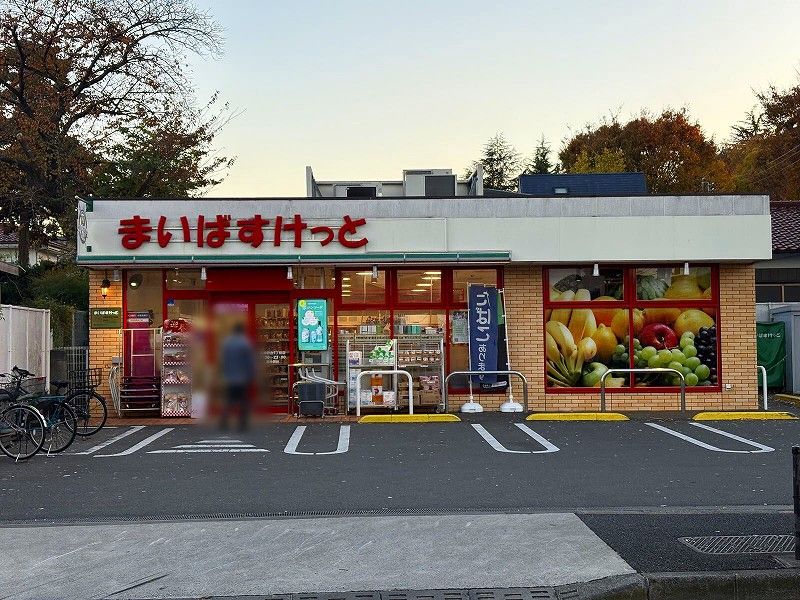 レオネクストジョイ　アゼリアⅡ 周辺環境