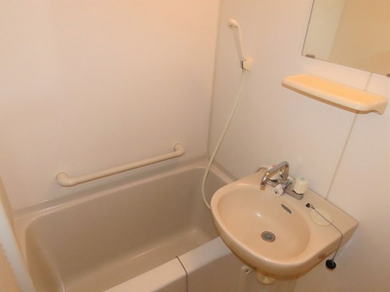 LEONEXT Orange Hills 浴室