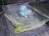 レオネクストハピネス東名 共用部分