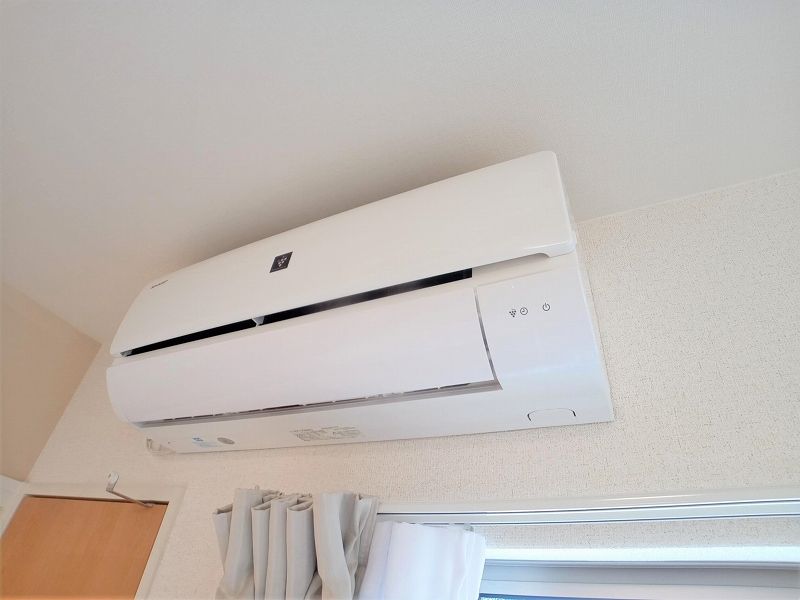 CLEINO Van Beal 기타