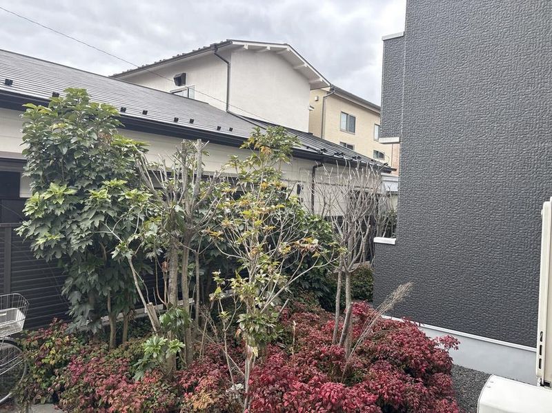 LEONEXT Beltempo View