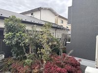 LEONEXT Beltempo View