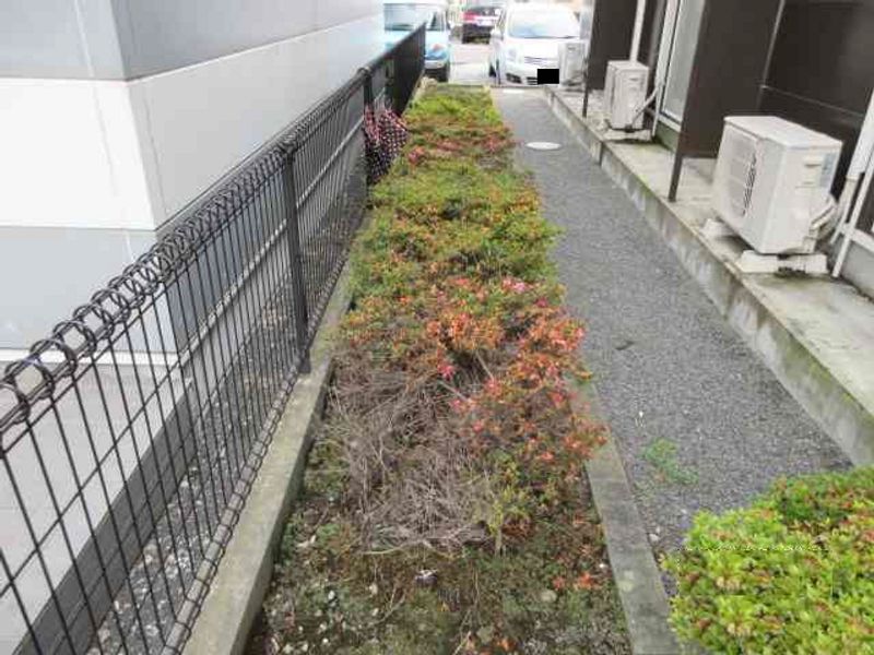 レオパレスさくらⅡ その他