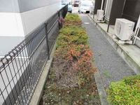 レオパレスさくらⅡ その他