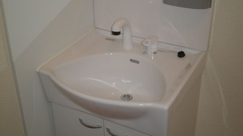 LEONEXT Pegasus Sink