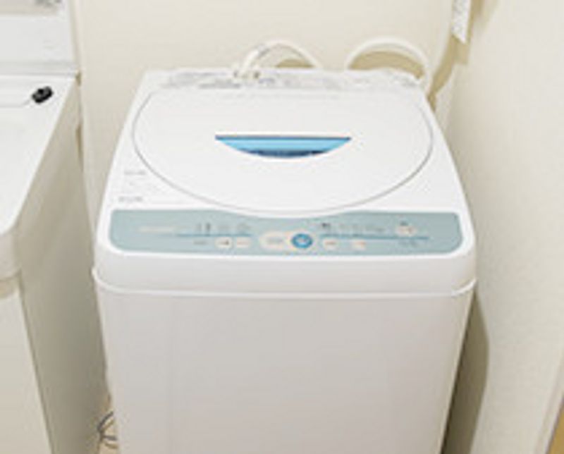 レオネクスト白枝Ⅱ その他設備