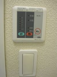 レオネクストミニエール その他