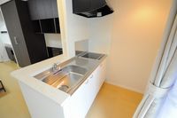 レオネクスト１８番館 キッチン