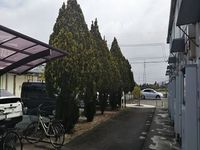 レオパレスひかり その他