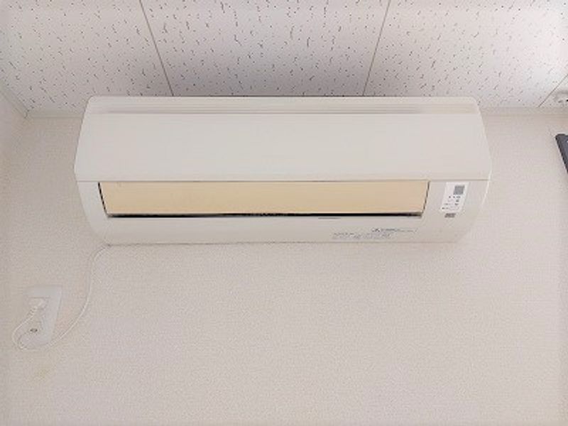 レオネクストラディエストⅡ その他