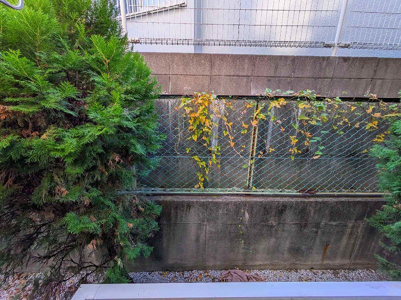 leopalace Lively Star II Tầm nhìn