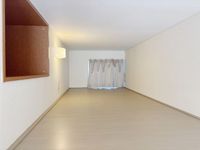 レオパレスバイオレット その他