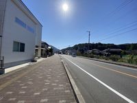 クレイノファレノプシス 周辺環境