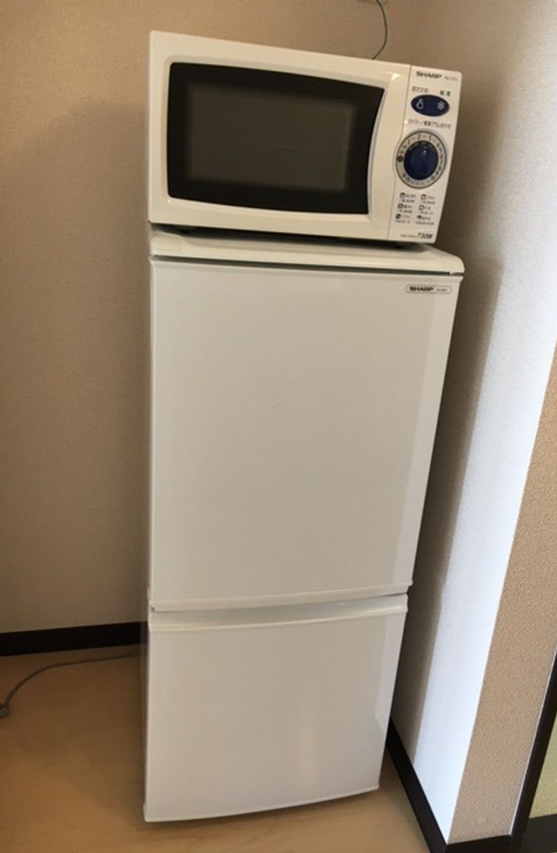 レオネクストカロータ その他