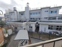 LEONEXT Oregano 视野