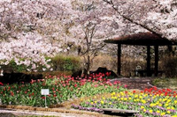 レオパレス中新井　ｃｏｕｒｔ 周辺環境