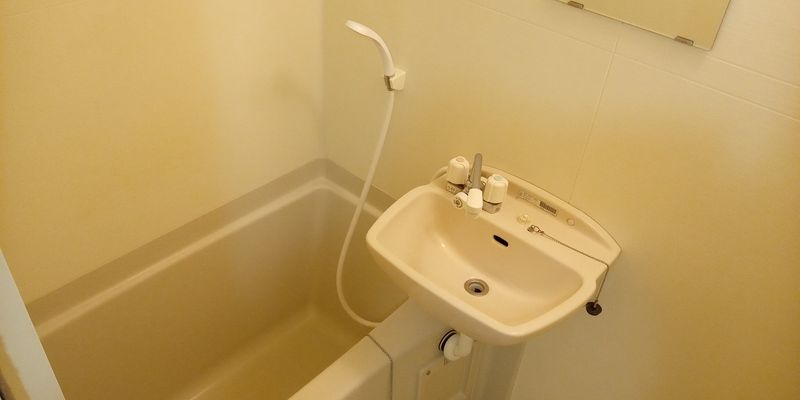 レオネクストｍａｎａ 洗面所