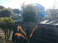 leopalace Courage Shimo Fukumoto Tầm nhìn