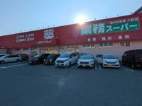 レオネクストブルースカイ 周辺環境