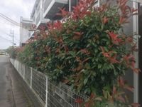 レオパレス小郡南 その他