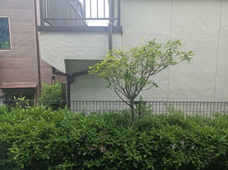 レオパレスＳｏｕｔｈＨｉｌｌ 眺望