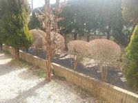 レオパレスわかば 眺望