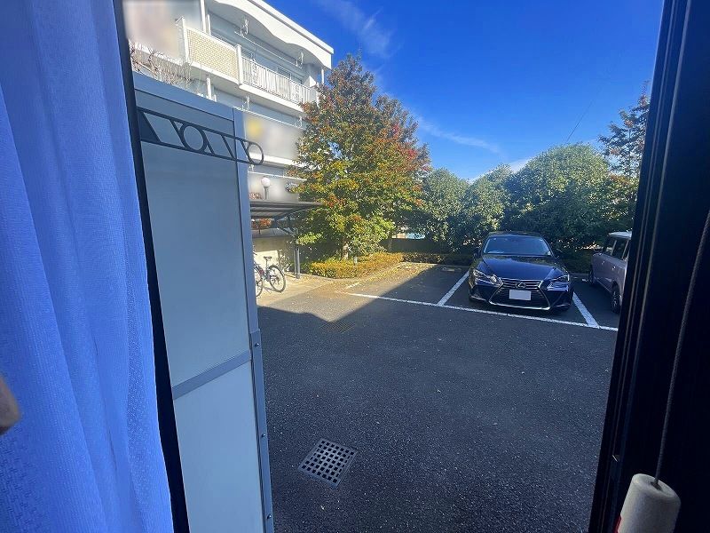 leopalace Abby Road 视野