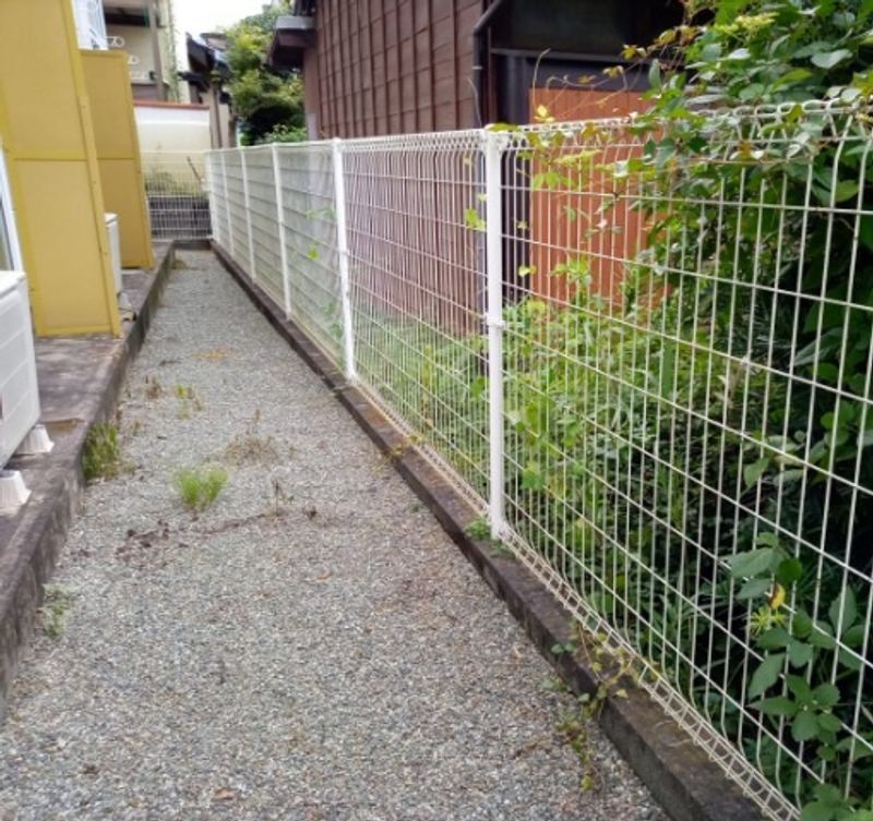 レオパレス入船 庭