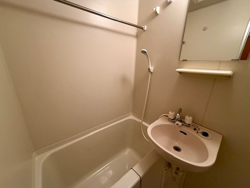 leopalace Blue Willow II Bathroom