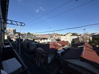 leopalace Sunflower 视野