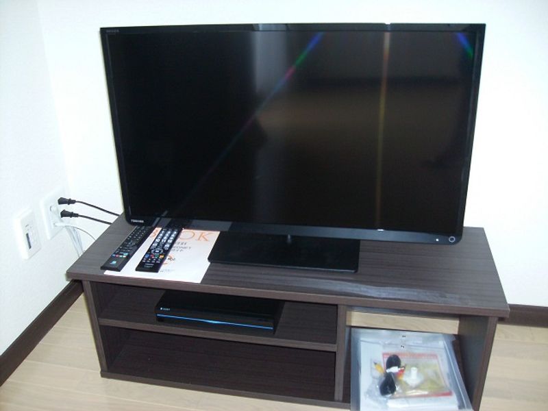 レオネクストはなみずき その他