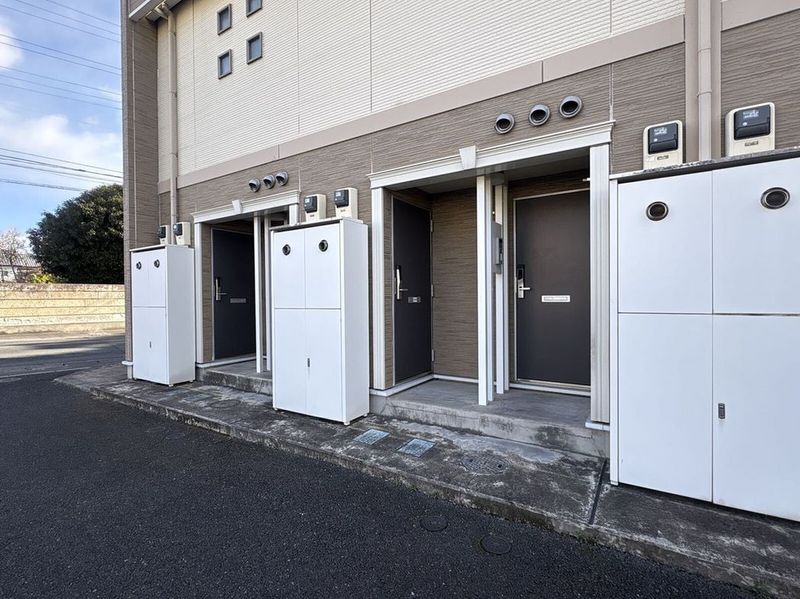 LEONEXT Atlas Taka 기타