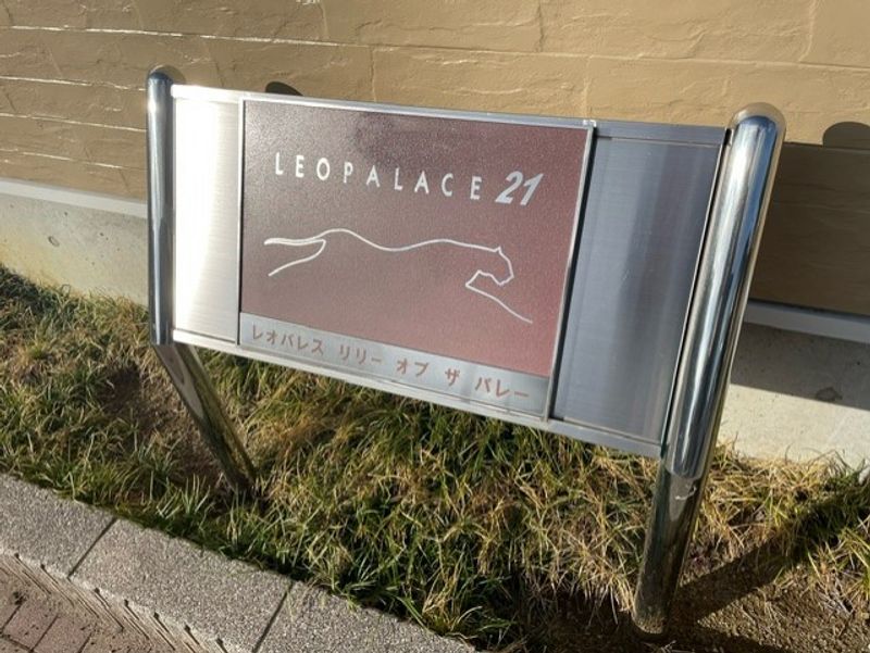 leopalace Lily of the Valley 其他