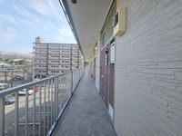 leopalace grow 其他