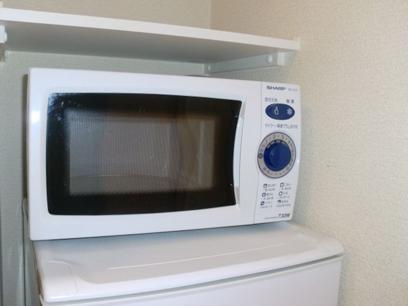 レオパレス忍 その他