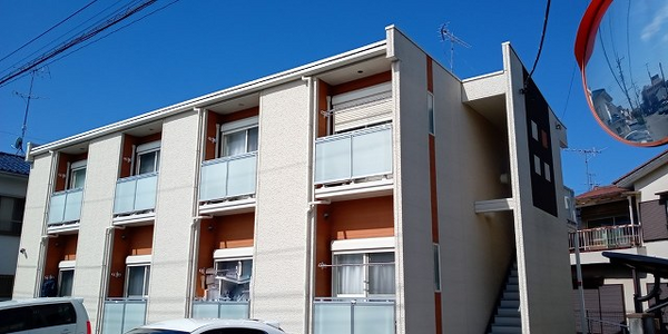 LEONEXT Bonnard Demire外观