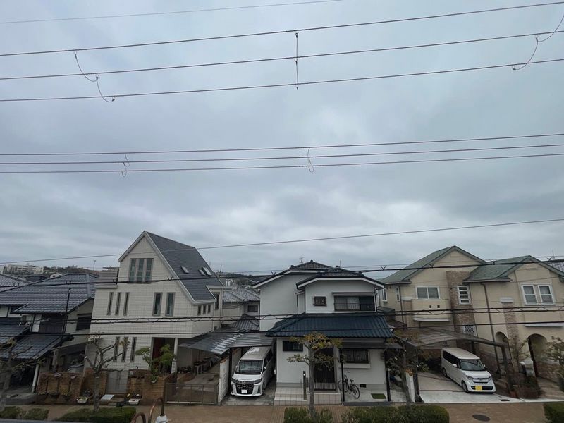 LEONEXT Azul Guminoki 视野