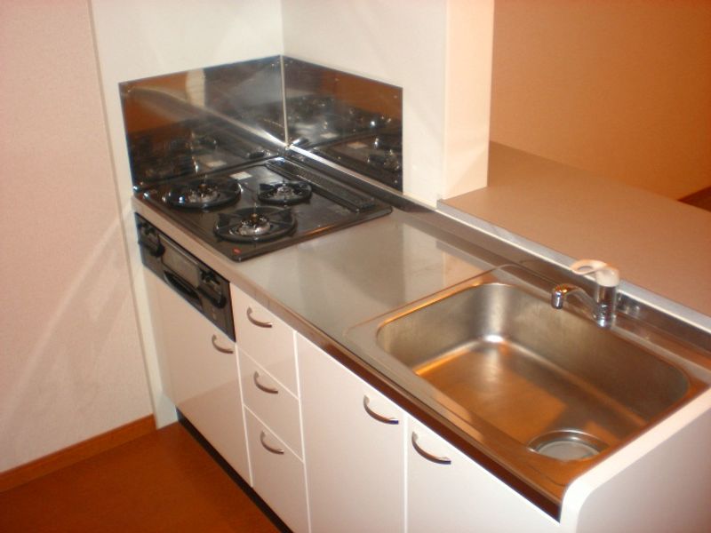 レオネクストサングリーン経堂 キッチン