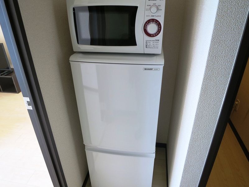 レオネクストリッカティル その他