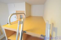 leopalace Sumire 기타