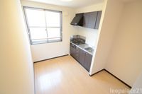 レオネクスト日吉原Ⅱ キッチン