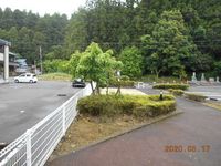 レオパレスドリーム 庭