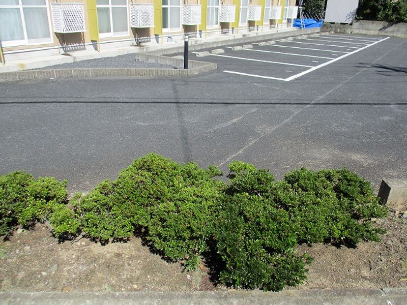 レオパレス２００１ 駐車場