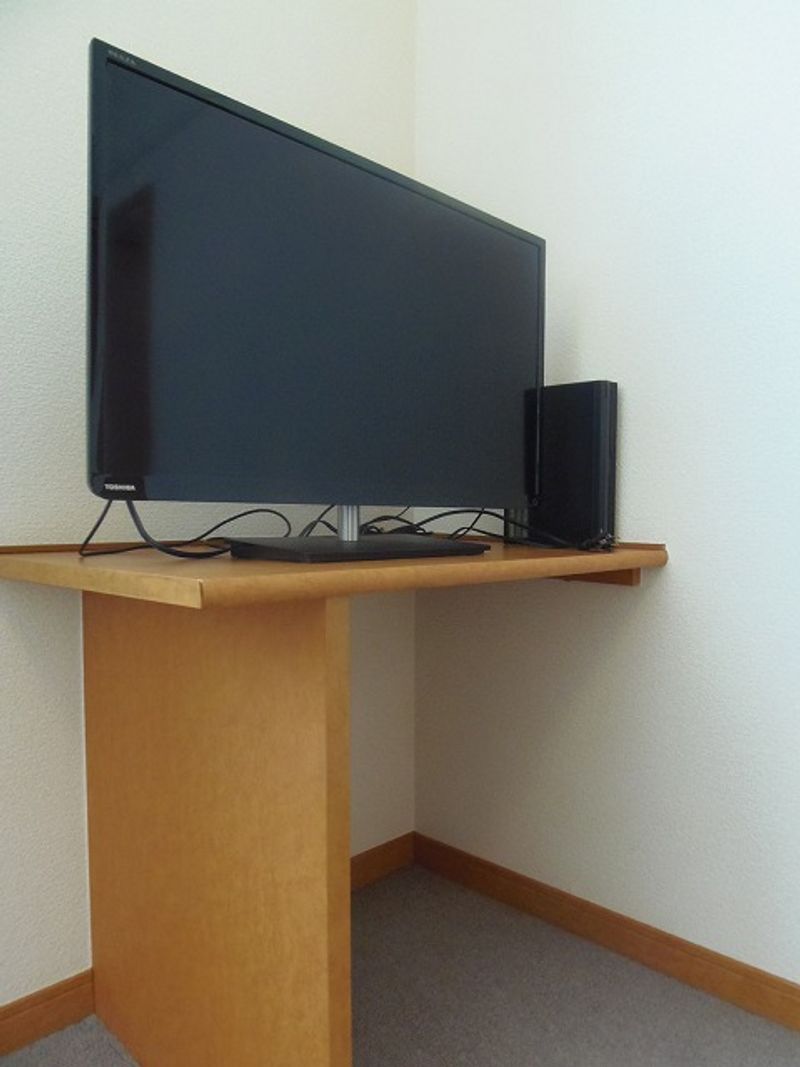 レオパレスＭＩＫＵＮＩⅡ その他