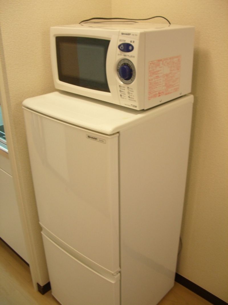 レオネクストオール その他