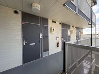 leopalace Selorm B Other