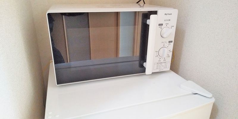 レオパレスゴールデン　ゴンタ その他設備